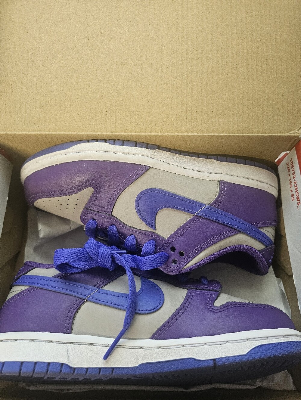 Nike Dunk Low1